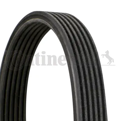 V-ribbed Belt